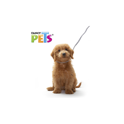 Collar de Entrenamiento Fancy Pets Chico