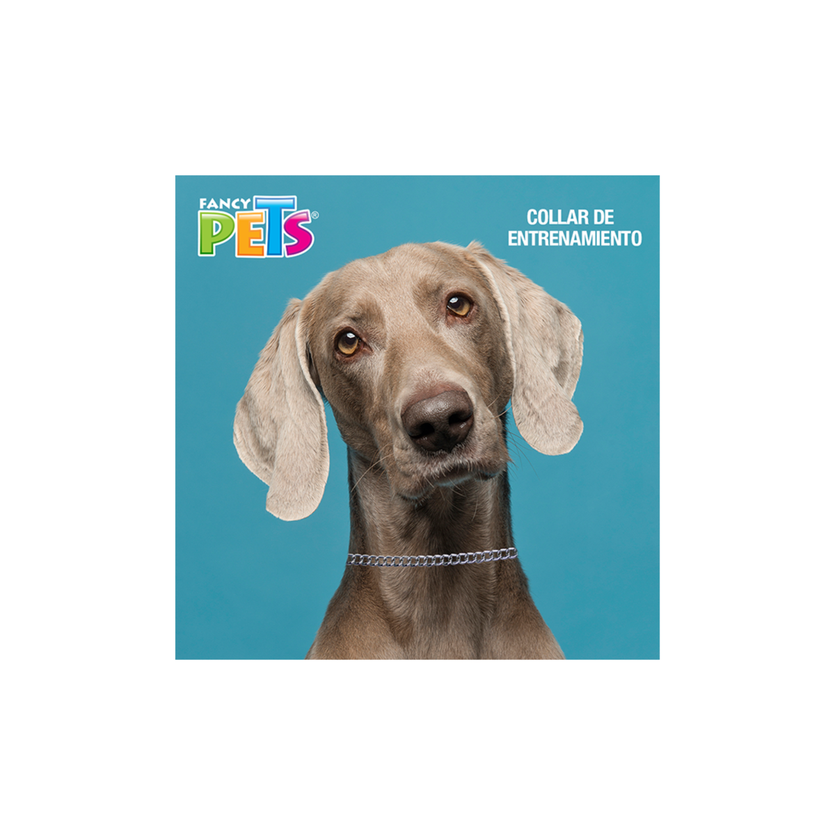 Collar de Entrenamiento Fancy Pets Grande
