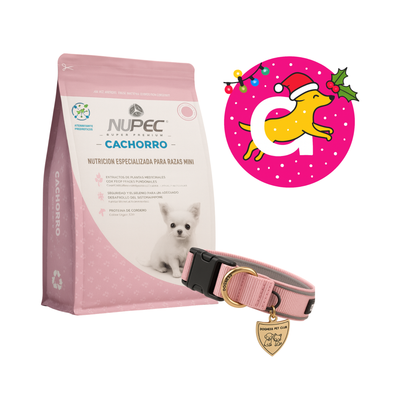 Combo Bota Nupec Cachorro Raza Mini 3 Kg