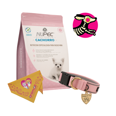 Combo Calaverita Nupec Cachorro Raza Mini 3 Kg