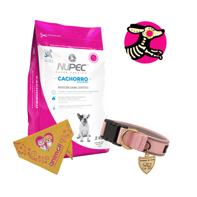 Combo Calaverita Nupec Cachorro Raza Pequeña 2 Kg