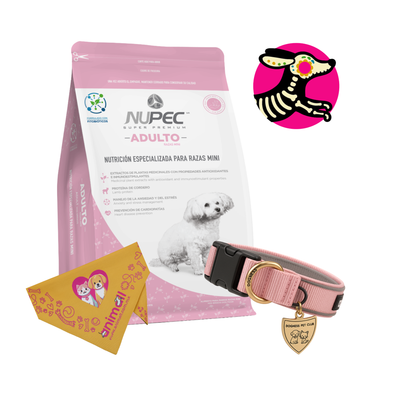 Combo Calaverita Nupec Perro Adulto Raza Mini 3 Kg