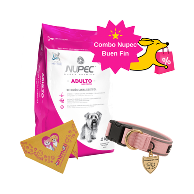 Combo Nupec Buen Fin Adulto Raza Pequeña 2Kg