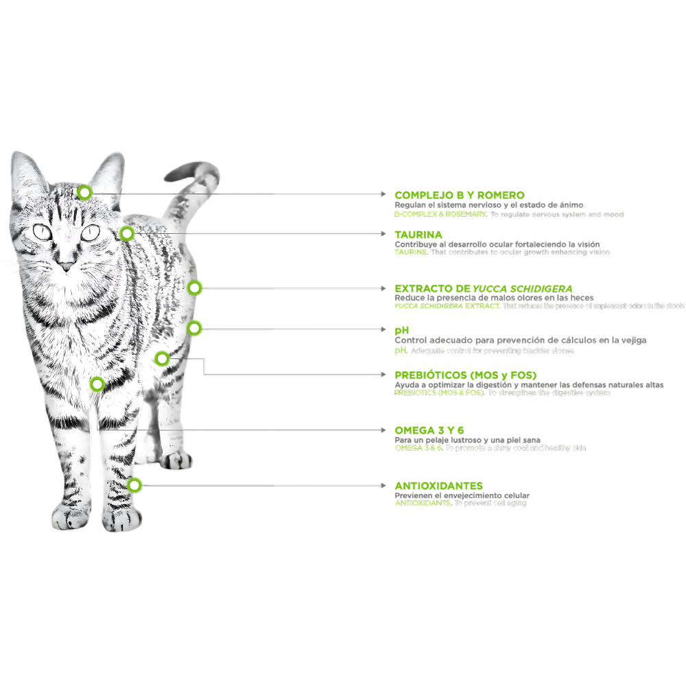 Nupec Felino Adulto Indoor 5 Kg - AniMALL