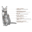 Nupec Felino Senior 3 Kg - AniMALL