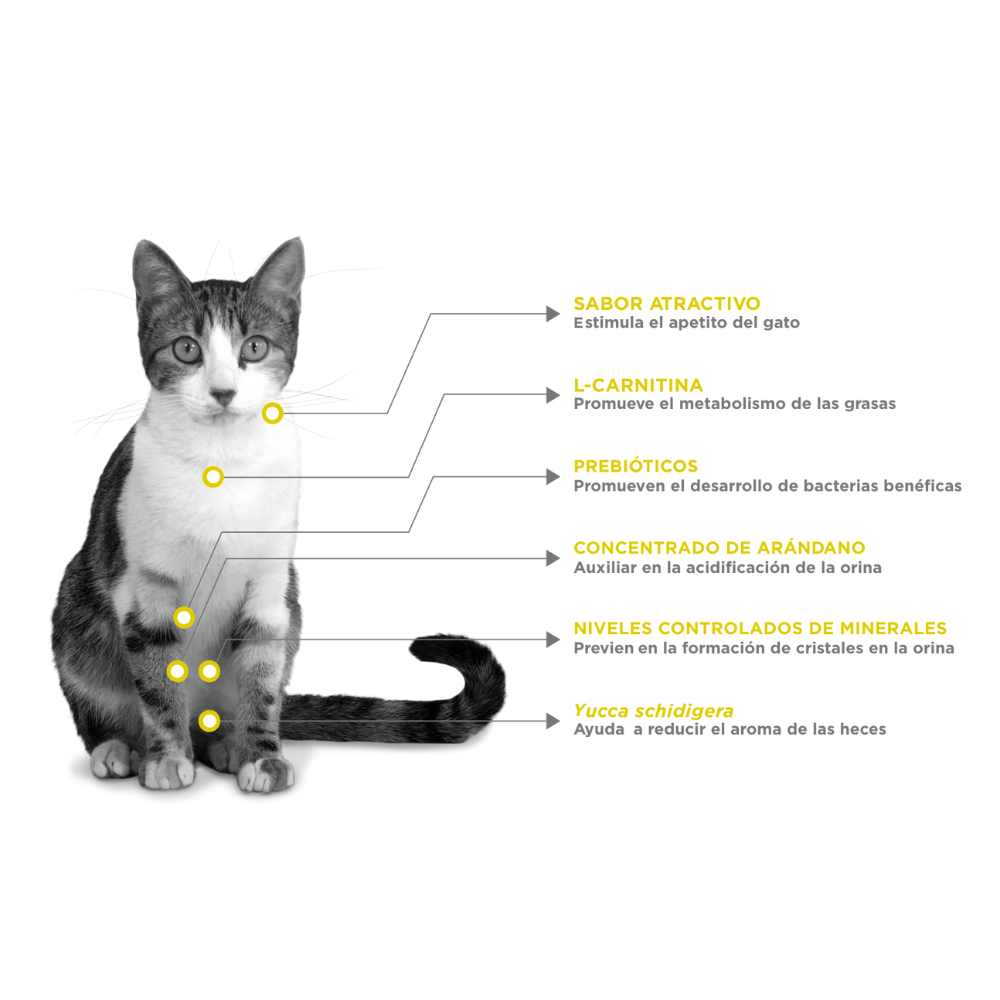 Nupec Felino Urinary Management 1.5 Kg - AniMALL