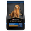 Pro Plan Perro Senior Active Mind Razas Medianas y Grandes 10 Kg - AniMALL