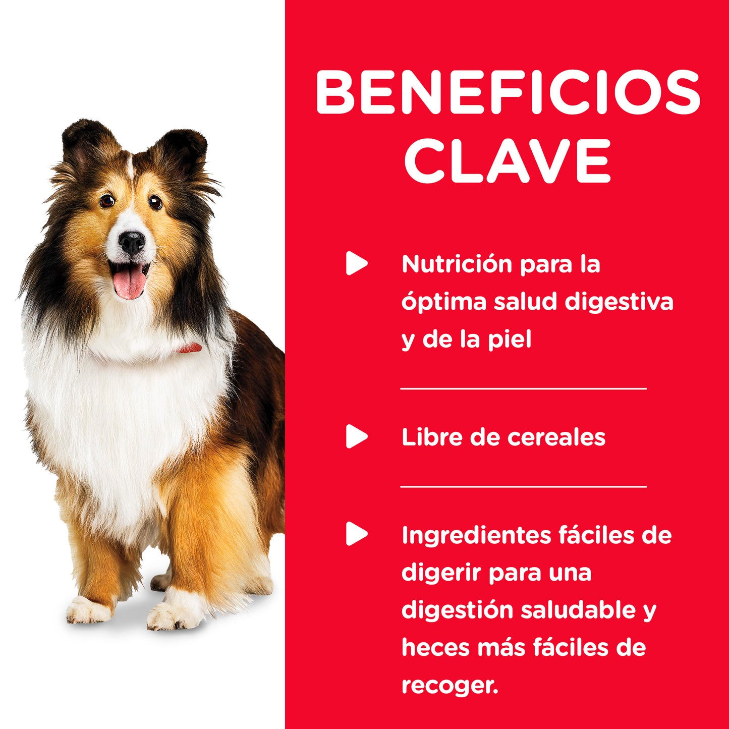 12 Latas Hill's Science Diet Perro Adulto Sensitive Skin and Stomach Piel y Estomago Sensible 363 gr