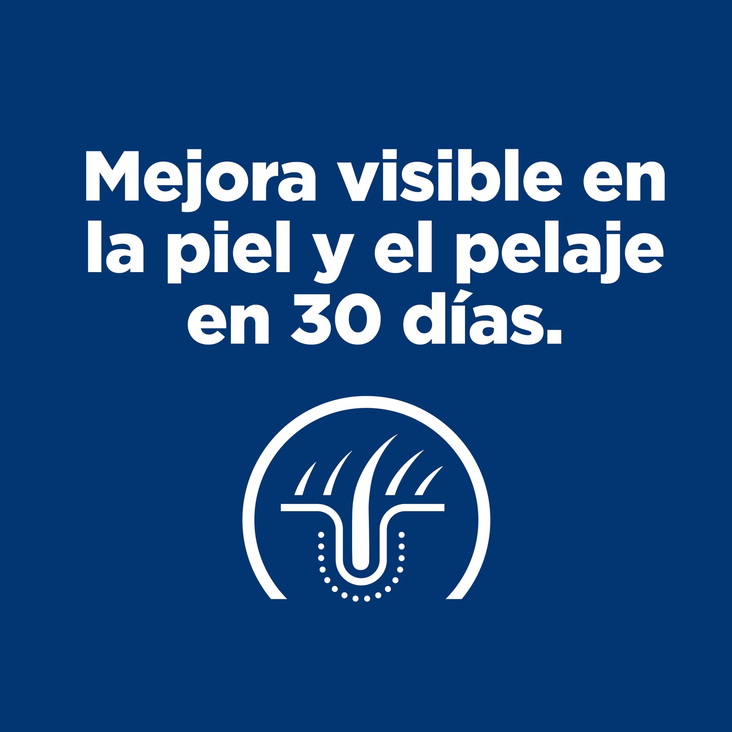 Hill's Prescription Diet z/d Small Bites, Sensibilidades Alimentarias, para Perro, 3.2 Kg