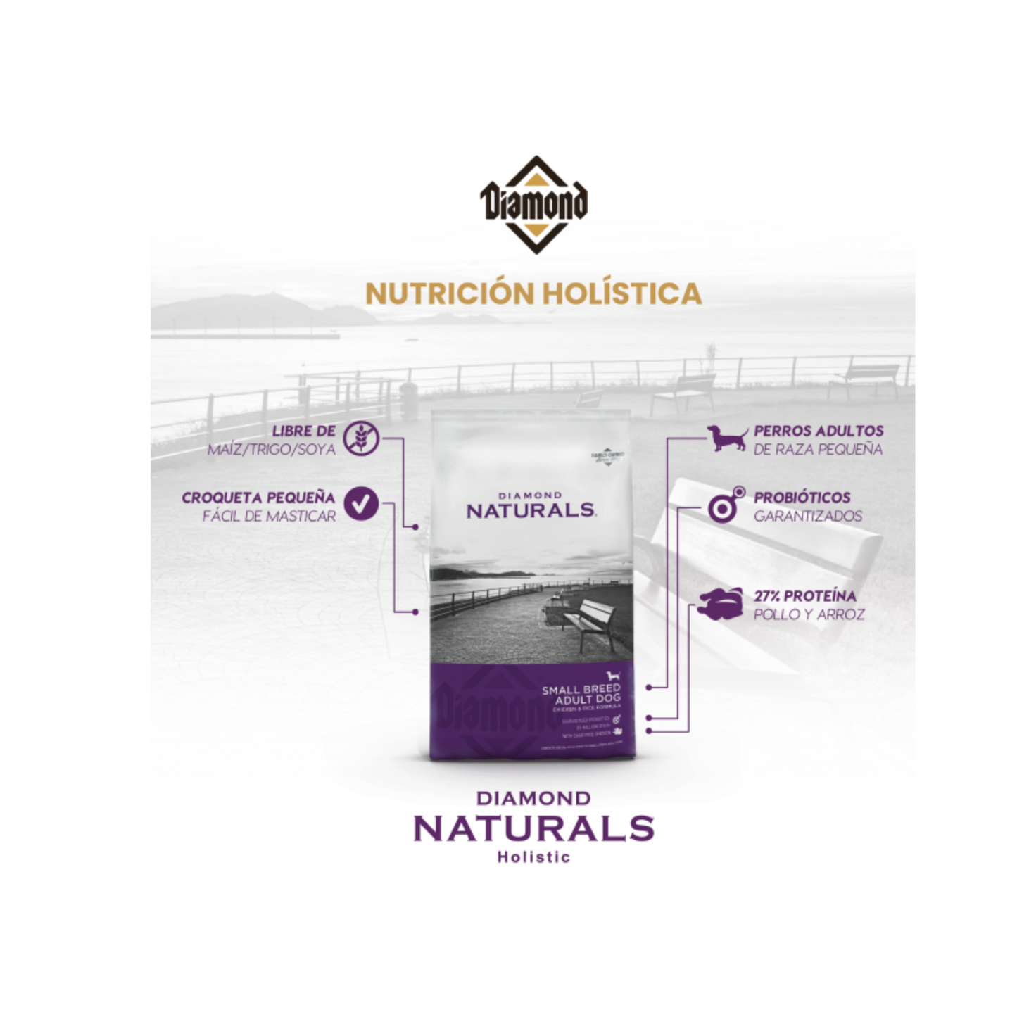 Diamond Naturals Perro Adulto Razas Pequeñas, Pollo y Arroz 2.72 Kg