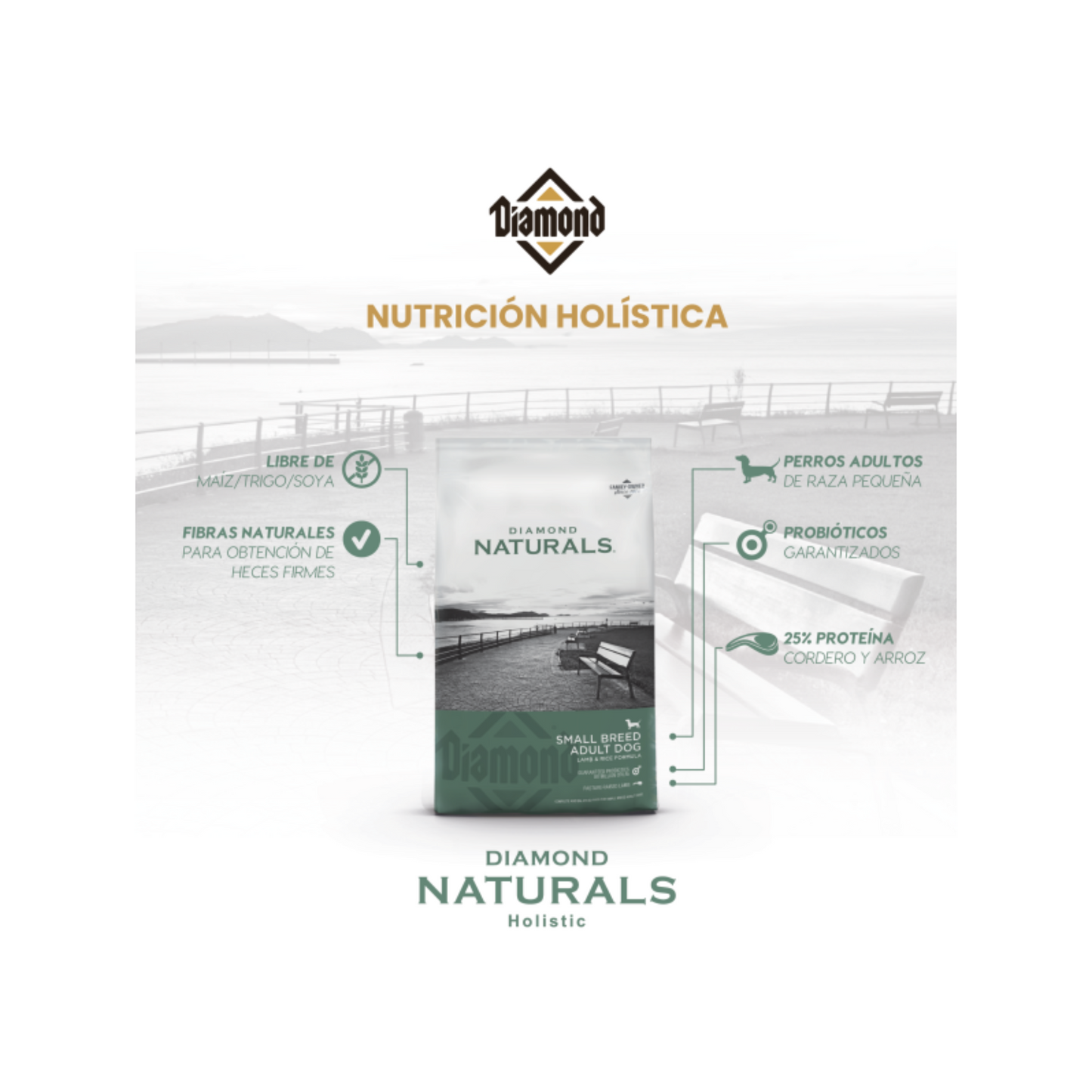 Diamond Naturals Perro Adulto Razas Pequeñas, Cordero y Arroz 2.72 kg