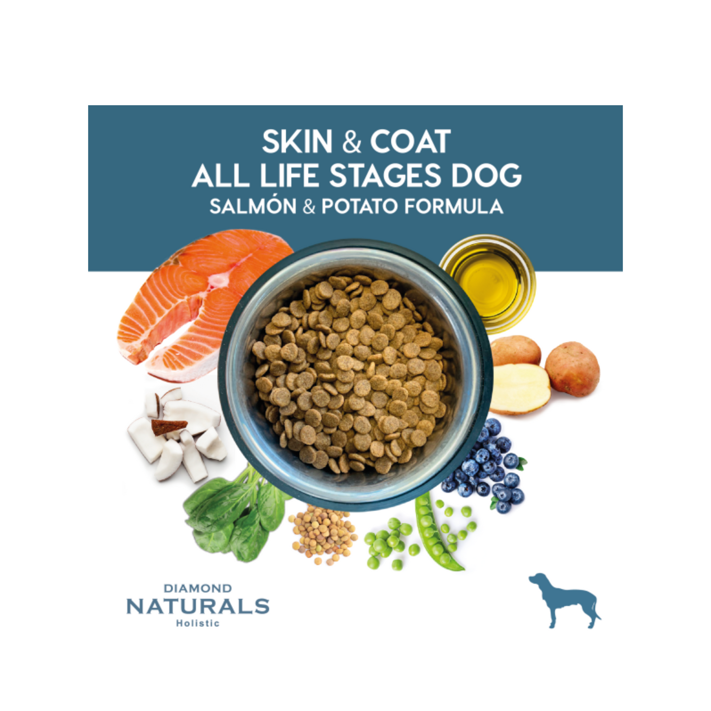 Diamond Skin y Coat All Life stages Dog Salmón y Papa 2 kg