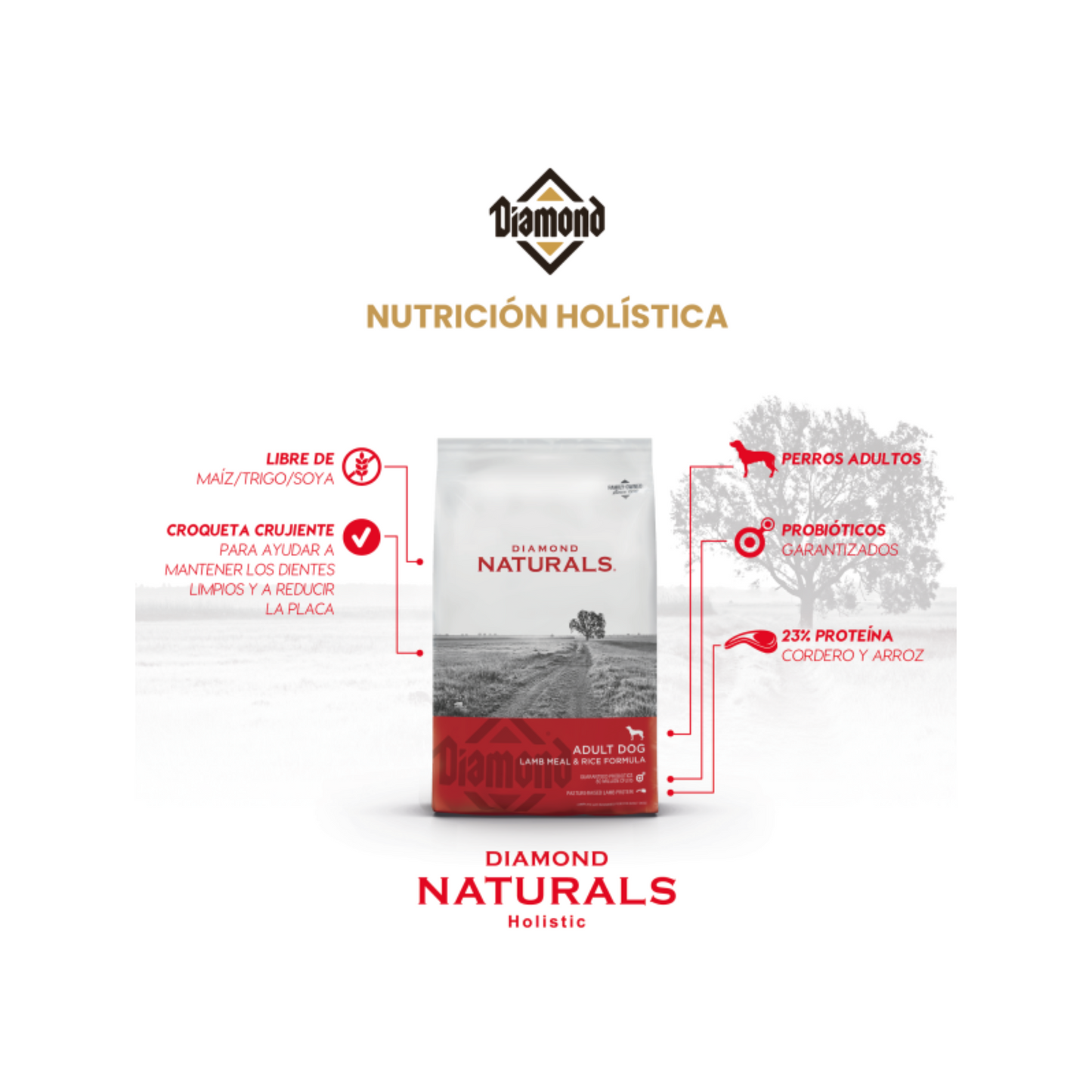 Diamond Naturals Perro Adulto, Cordero y Arroz 18.14kg