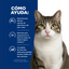24 Latas Hill's Prescription Diet Feline Alimento Húmedo c/d Multicare + Metabolic Gato Sabor Vegetales & Pollo 82 g