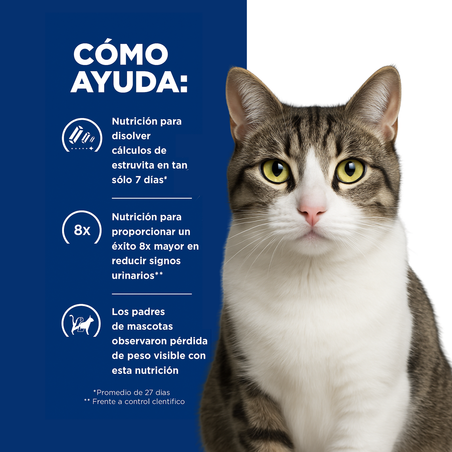 24 Latas Hill's Prescription Diet Feline Alimento Húmedo c/d Multicare + Metabolic Gato Sabor Vegetales & Pollo 82 g