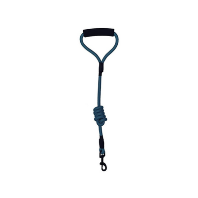 Dogline Correa De Nylon Color Azul Para Perro Talla G