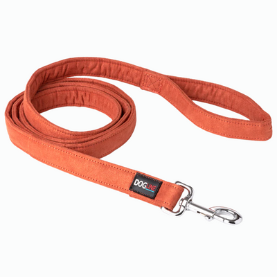 Dogline Correa 