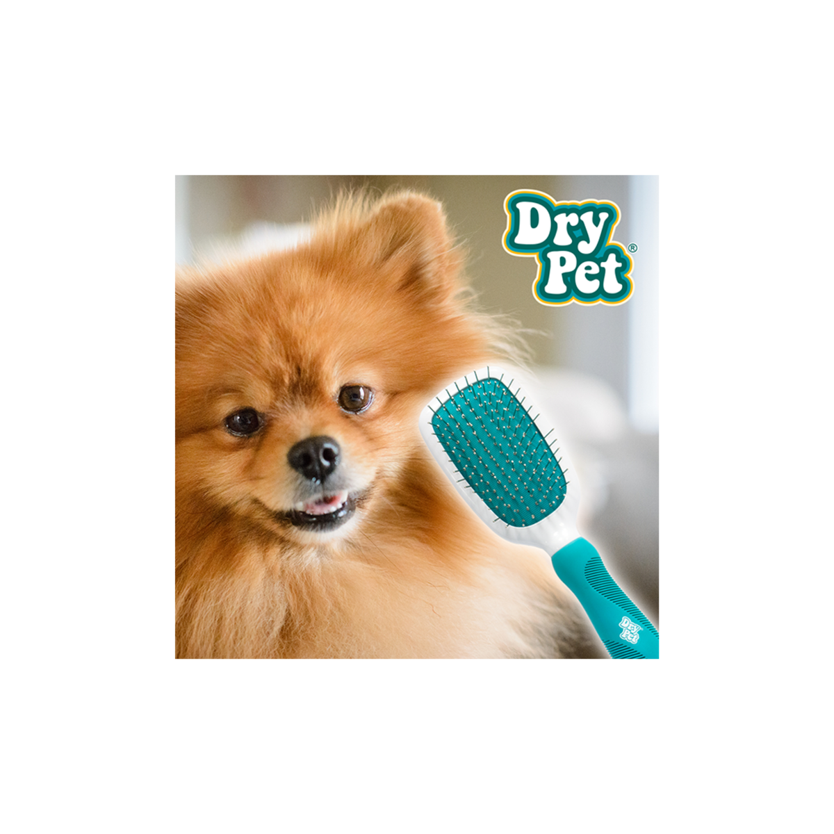 Dry Pet Cepillo Combinado Grande