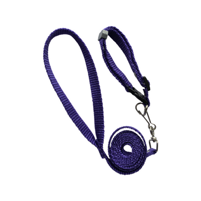 Elite Correa con Collar Simple Liso Talla Chico Color Morado