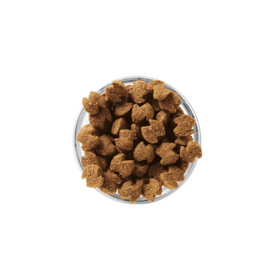 Eukanuba Adulto Razas Medianas 2.04 Kg.