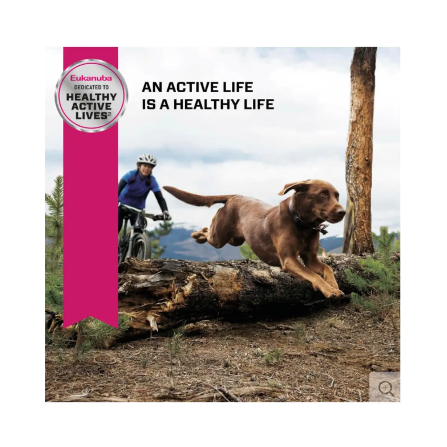 Eukanuba Adulto Raza Grande Perro 13.61 Kg.