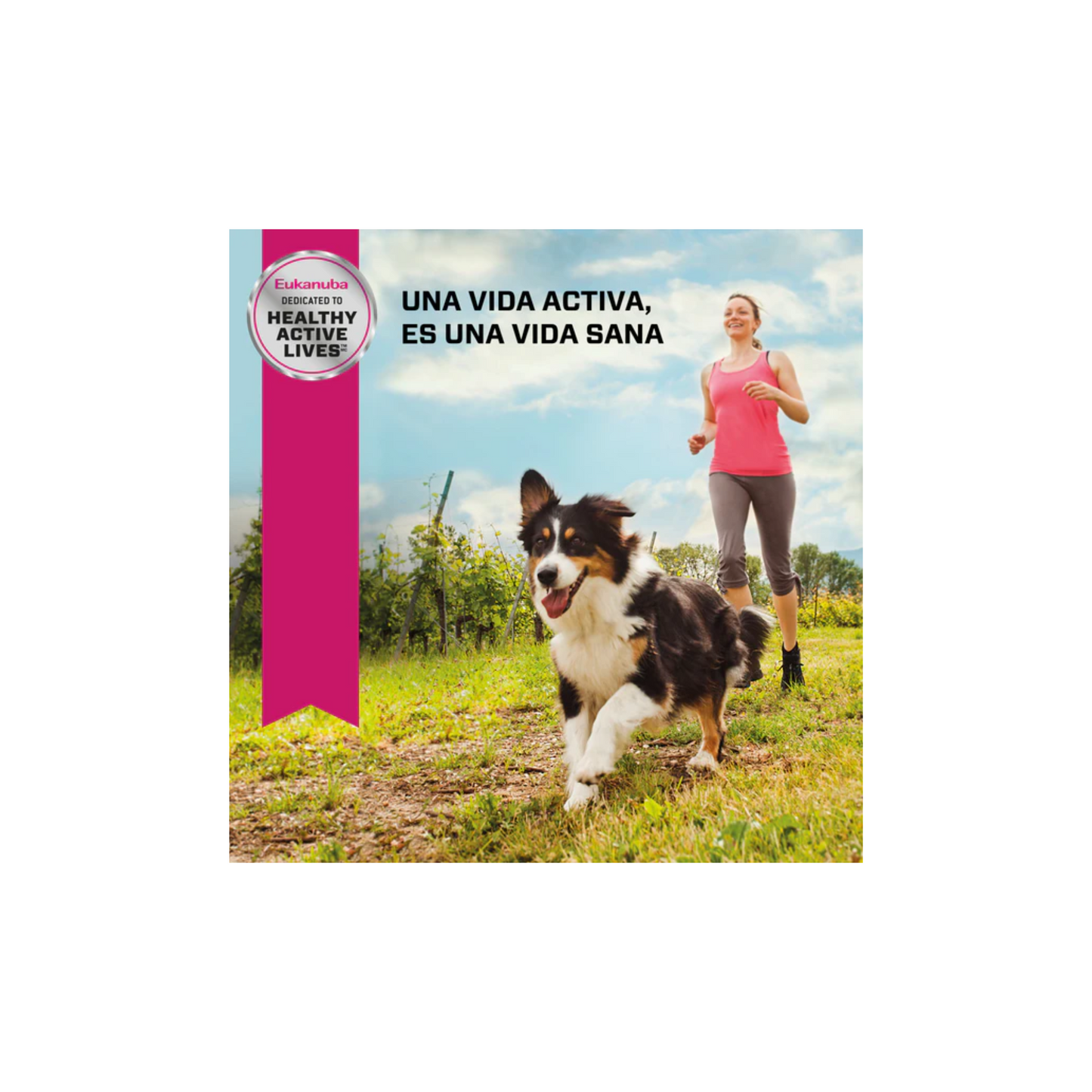 Eukanuba Lata Alimento Húmedo para Perro Adulto Res y Vegetales  355 gr