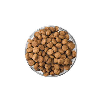 Eukanuba Perro Cachorro Razas Grandes 2.04 Kg.