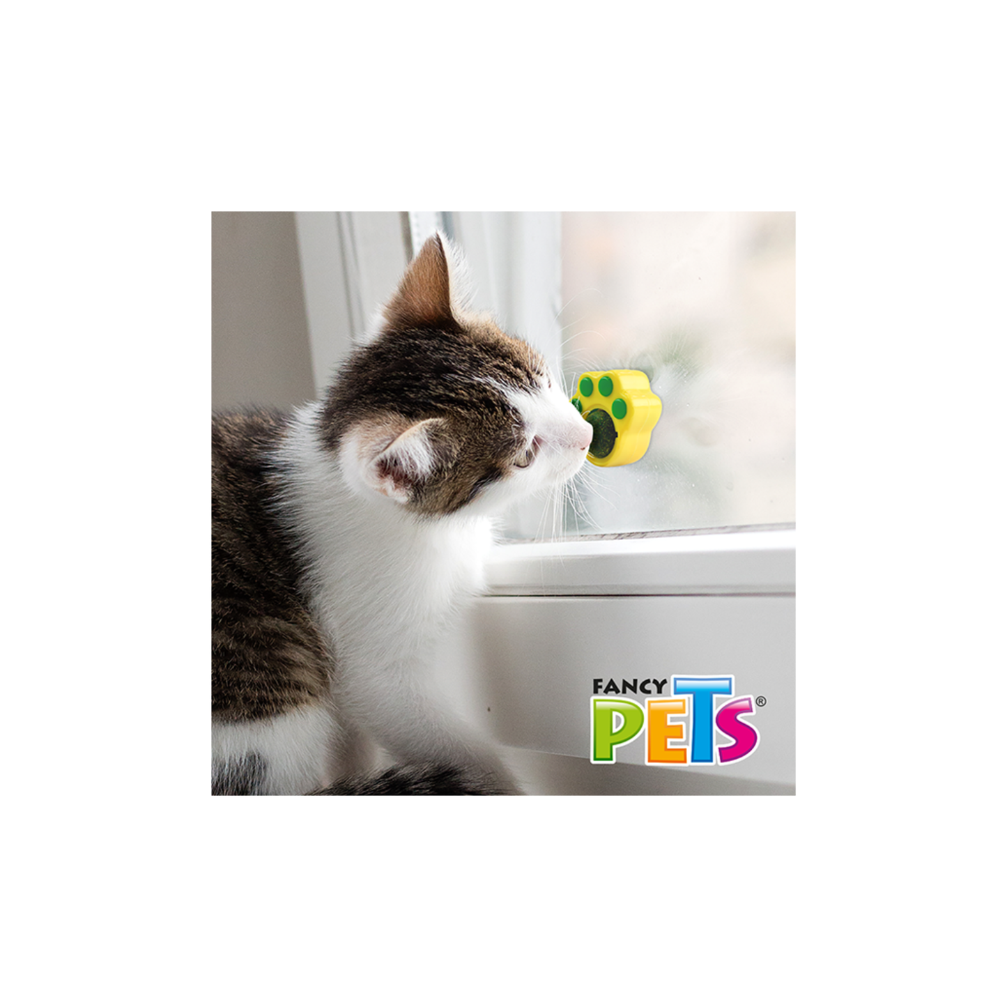 Fancy Pets Huellita con Bola de Catnip para Gatos 1 Pieza