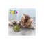 Fancy Pets Geo Esfera de Catnip Juguete para Gato 1 Pieza