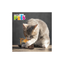 Fancy Pets Juguete Esfera de Catnip con Plumas para Gato
