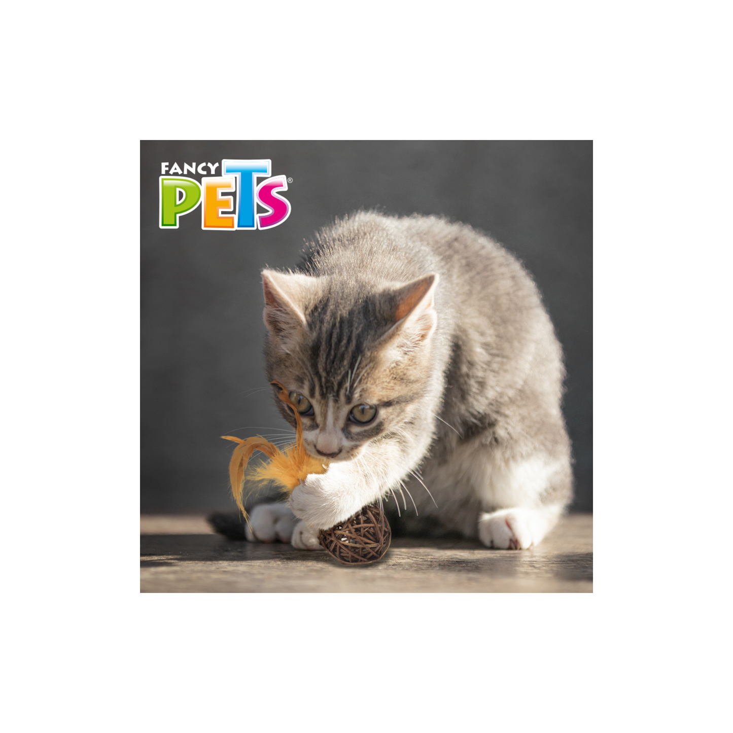 Fancy Pets Juguete Esfera de Catnip con Plumas para Gato