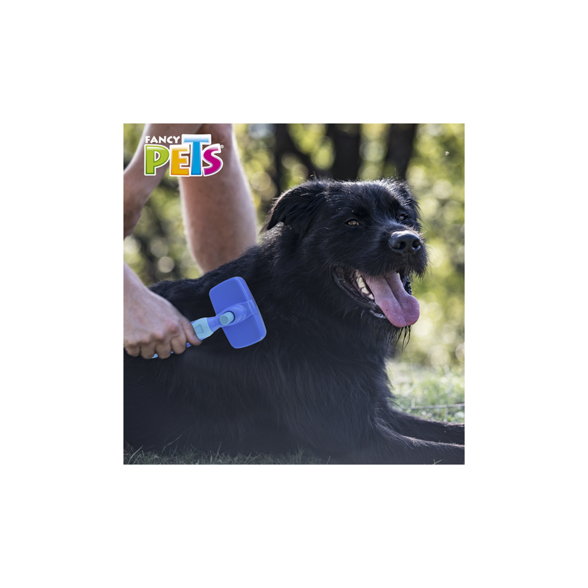 Fancy Pets Carda con Autolimpieza Grande