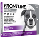 Frontline Plus Antipulgas y Antigarrapatas para Perros de 20-40 Kg 3 Pipetas