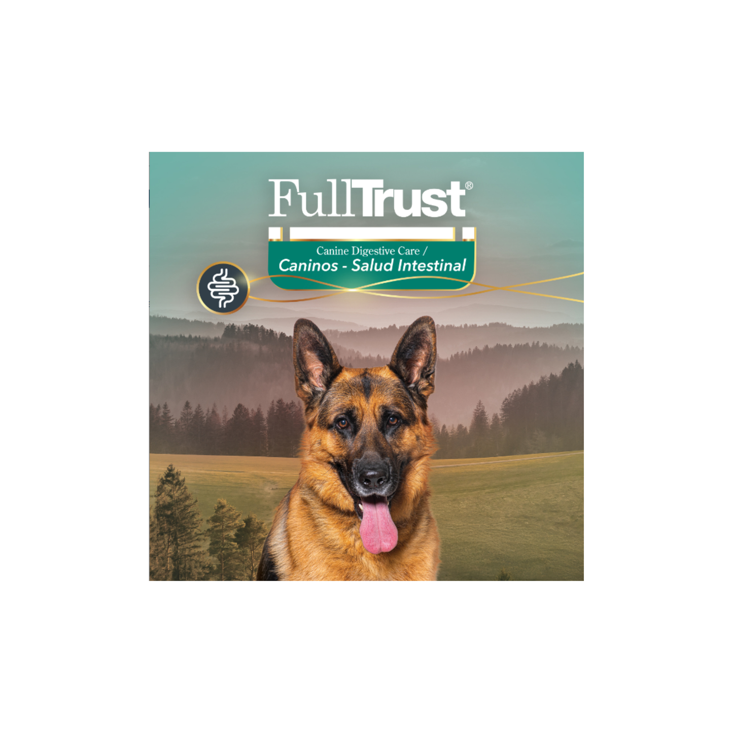 FullTrust Premios Digestive Care Salud Intestinal para Perro 180 g
