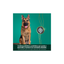 FullTrust Premios Digestive Care Salud Intestinal para Perro 180 g
