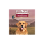 FullTrust Premios Joint Care Articulaciones Sanas para Perro 180 g