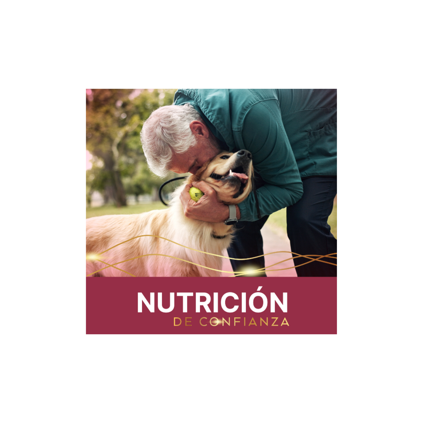 FullTrust Premios Joint Care Articulaciones Sanas para Perro 180 g