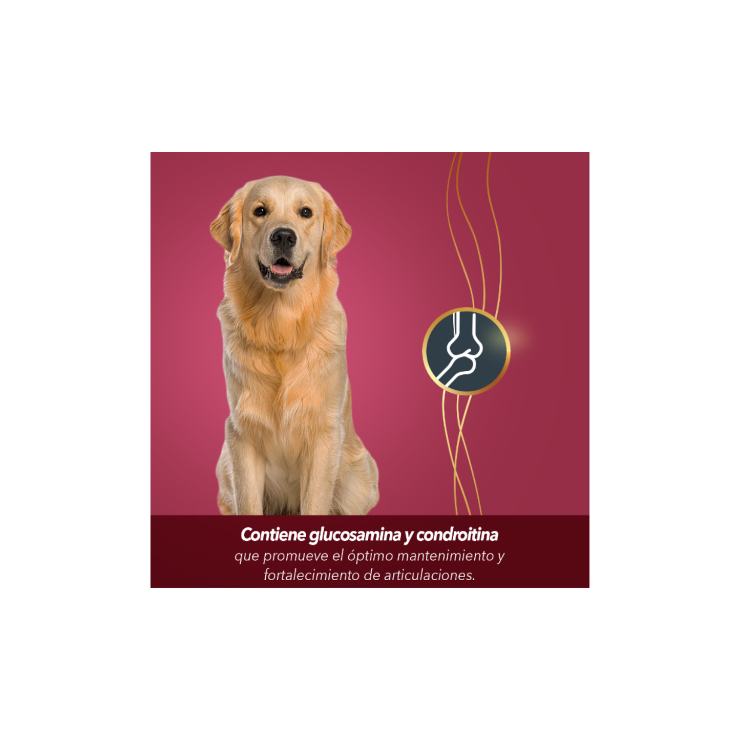 FullTrust Premios Joint Care Articulaciones Sanas para Perro 180 g