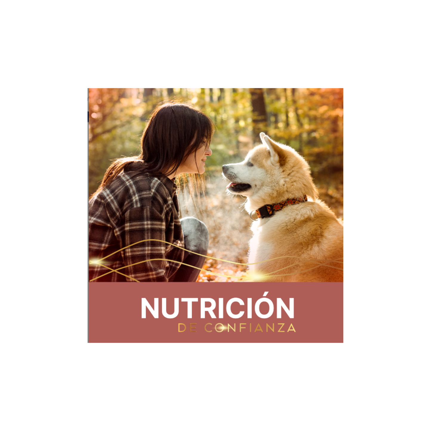 FullTrust Premios Skin and Coat Piel y Pelo para Perro 180 g