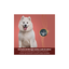 FullTrust Premios Skin and Coat Piel y Pelo para Perro 180 g