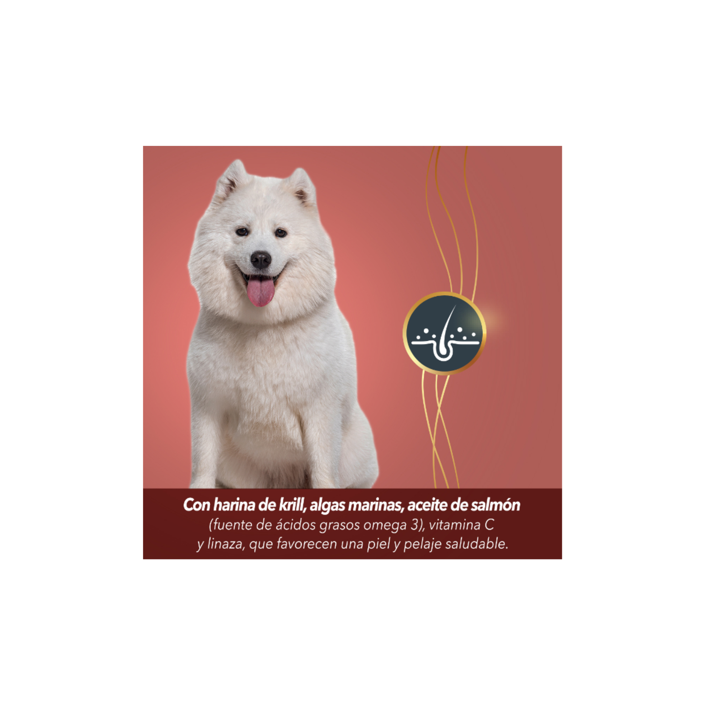 FullTrust Premios Skin and Coat Piel y Pelo para Perro 180 g