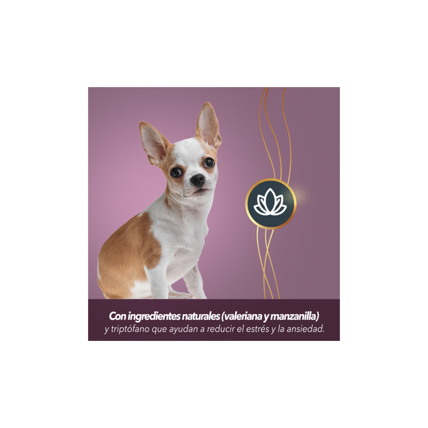 FullTrust Premios Stress Relief Anti Estrés para Perro 180 g
