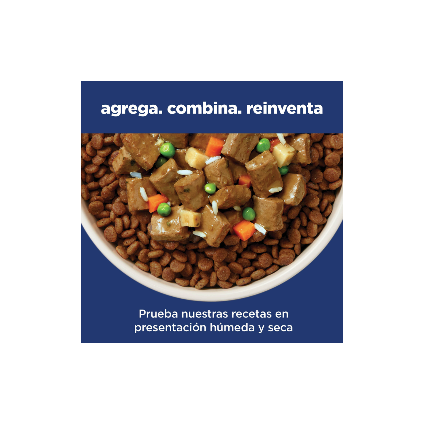 Hill's Science Diet Adult, alimento saludable gato adulto receta de salmón, 1.5kg