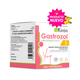 Gastrozol para perros