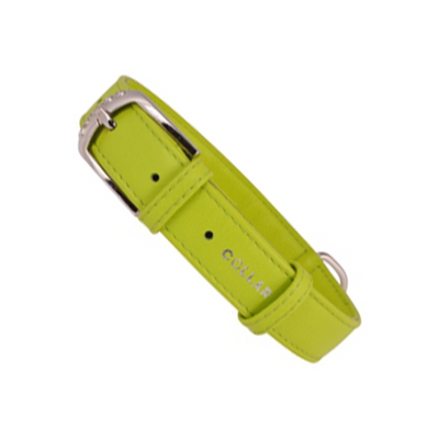 Glamour Collar Plano Color Verde Talla Mediana