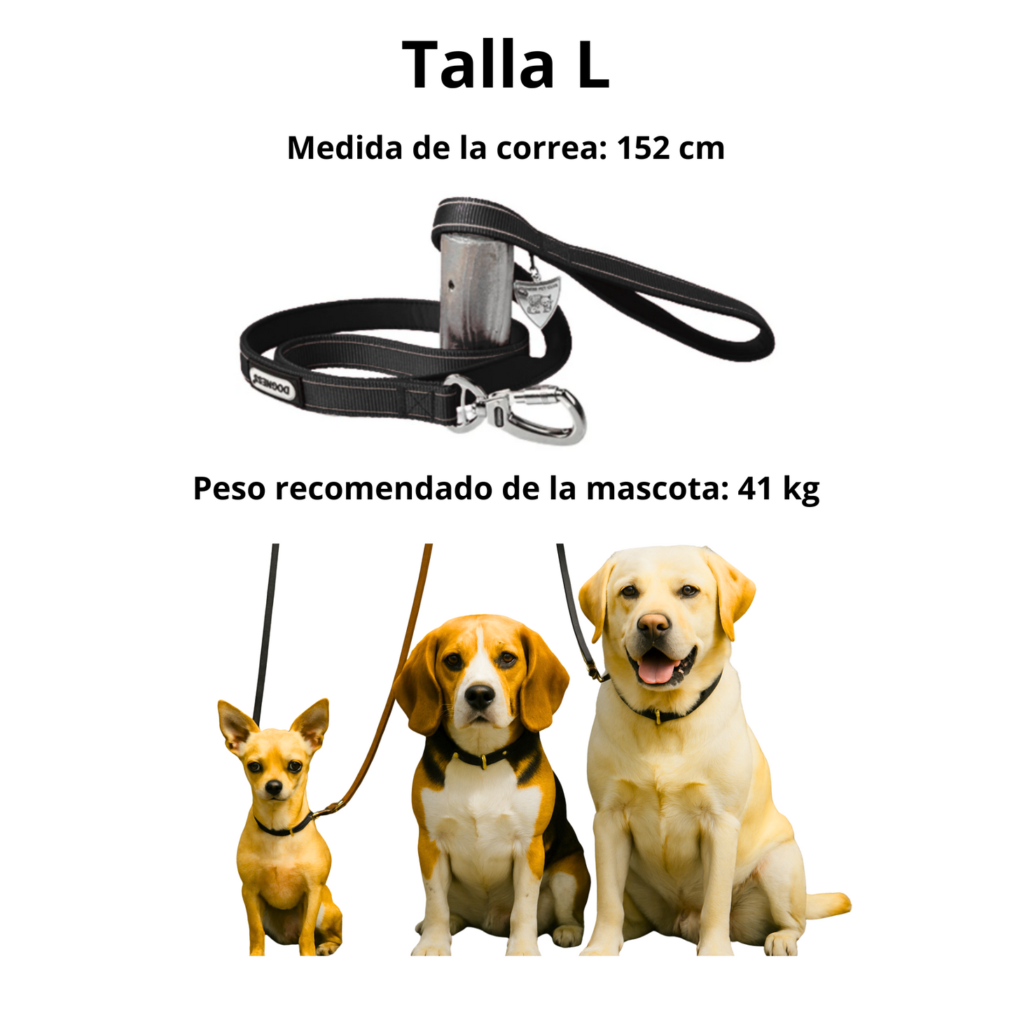 Dogness Correa Reflectiva Color Negro Para Perro Talla L