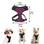 Puppia Arnés Color Morado Para Perro Talla XCH