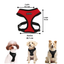 Puppia Arnés Color Rojo Para Perro Talla M