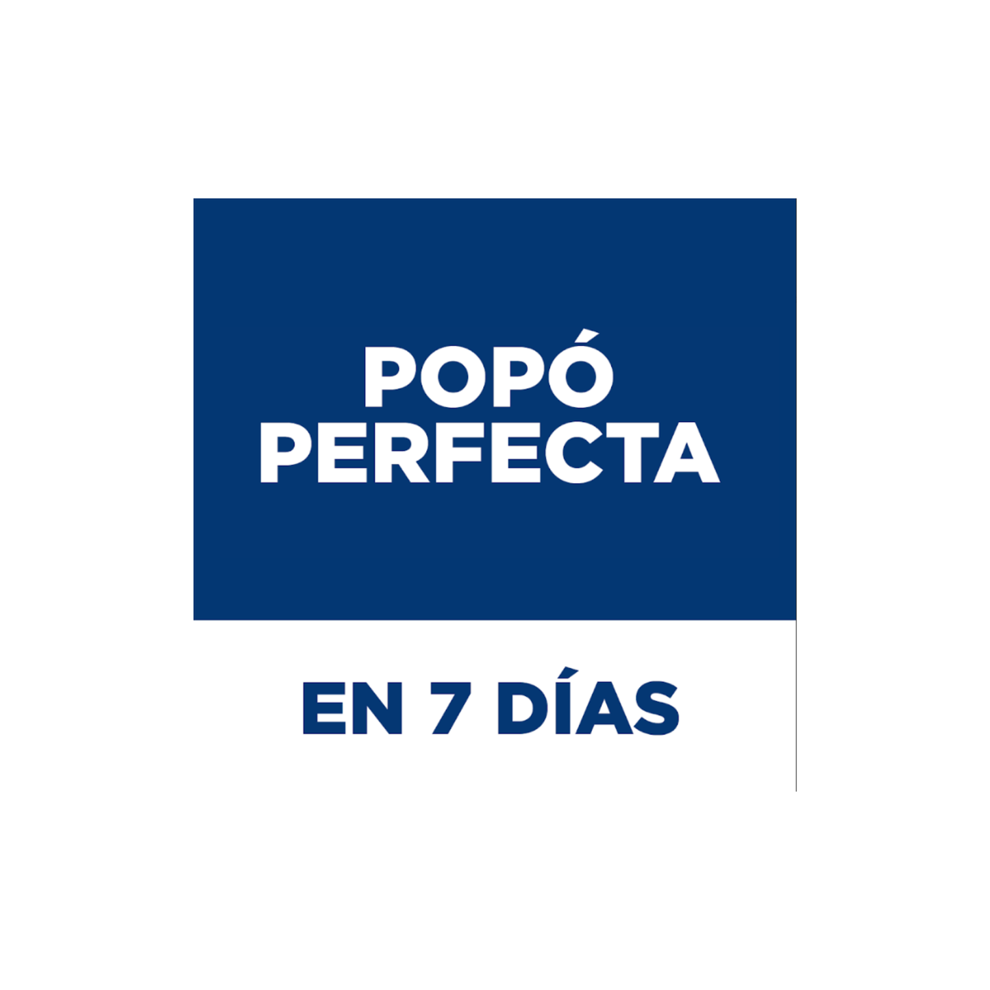 Hill's Science Diet Perfect Digestion Small&Mini, Cuidado digestivo para perros adultos pequeños y mini, 1.5kg