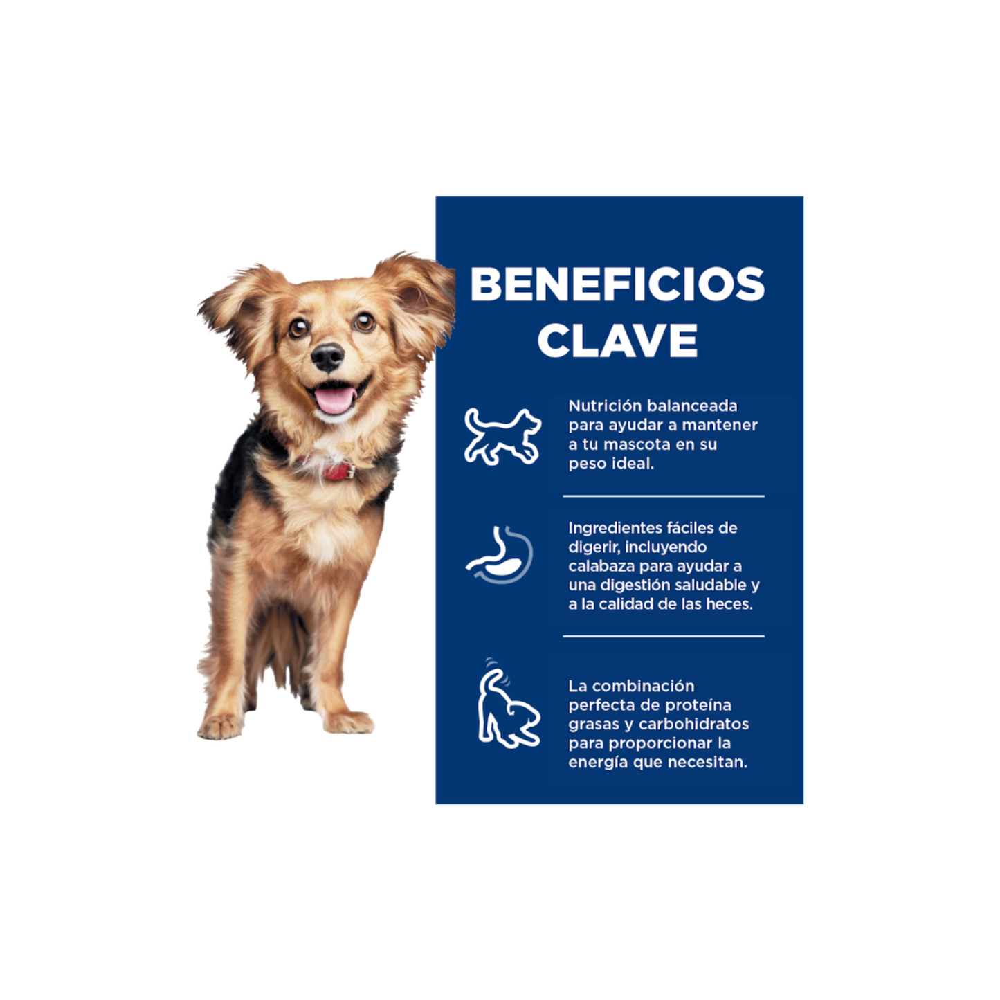 Hill's Science Diet Perfect Digestion Small&Mini, Cuidado digestivo para perros adultos pequeños y mini, 1.5kg